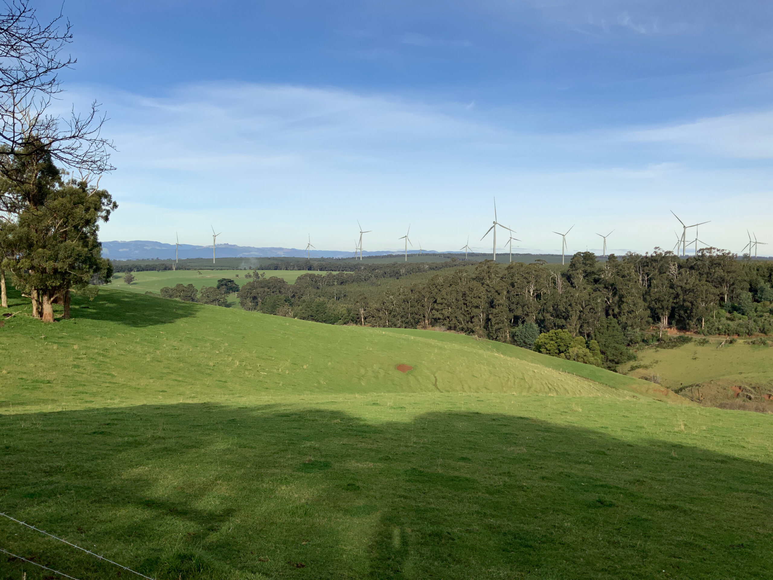 Photo montage of proposed Delburn wind farm from Morwell Thorpdale Road looking south